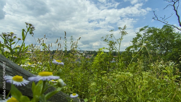 Fototapeta Miasto w oddali