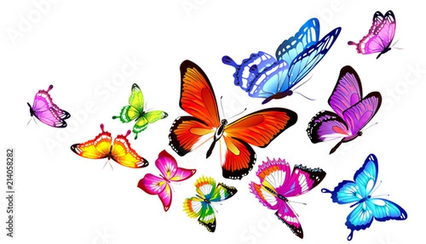 Fototapeta beautiful color butterflies,set, isolated  on a white
