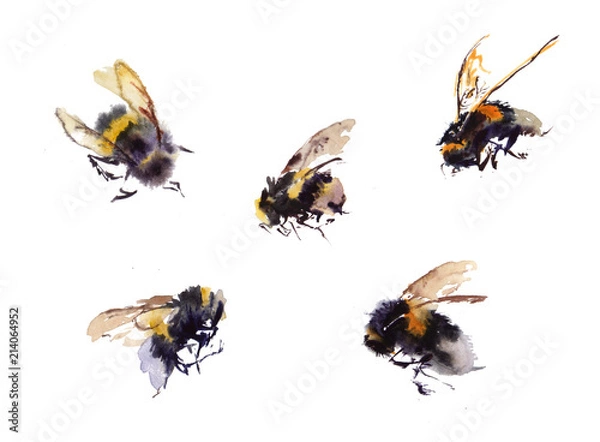 Fototapeta Collection Watercolor bees isolated on white background. hand drawn watercolor illustration