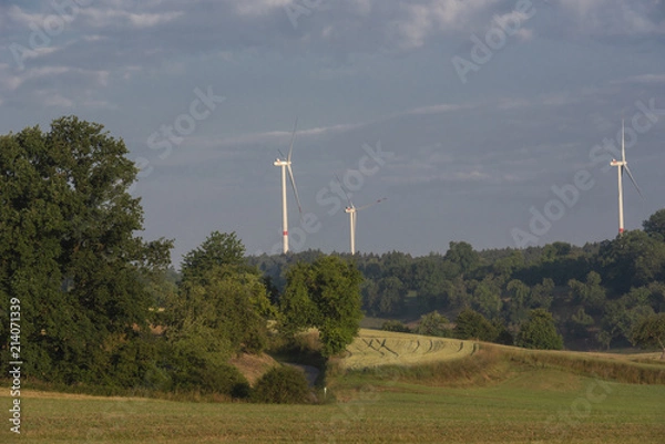 Obraz Wind turbines behind a forest
