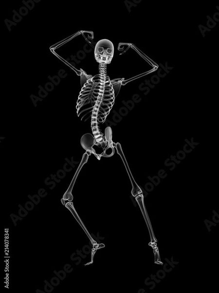 Fototapeta X RAY SKELETON 3D RENDER