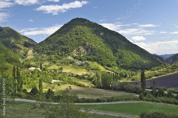 Obraz Drôme provencale landscape