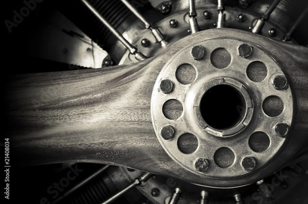 Fototapeta wooden aircraft propeller and engine cylinders