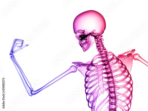 Obraz X RAY SKELETON 3D RENDER