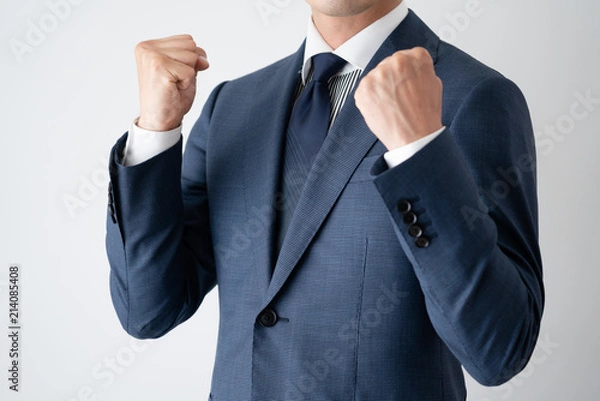 Fototapeta ビジネスマン、ガッツ、ガッツポーズ