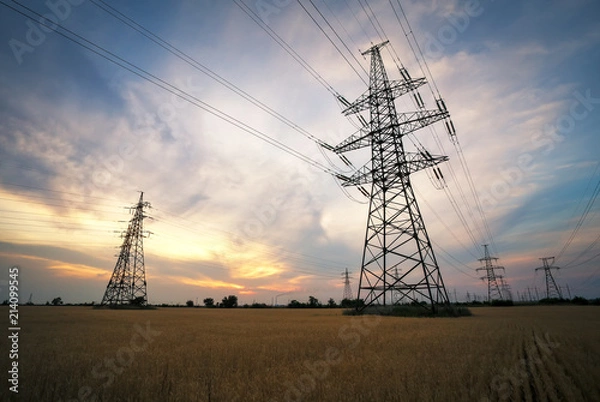Fototapeta Agricultural field. Yellow wheat and power lines