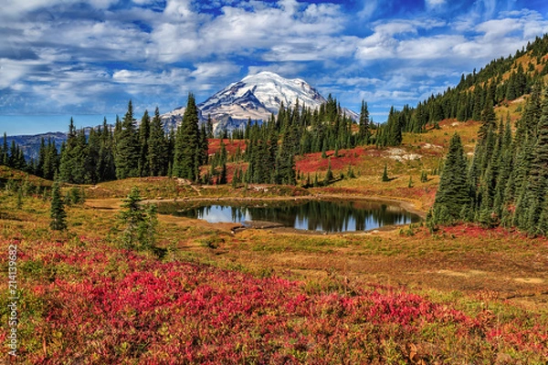 Obraz Tipsoo Lake at Mt Rainier National Park