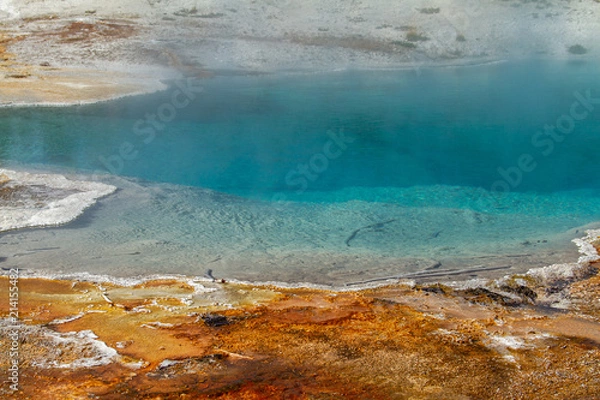 Fototapeta A Deep Turquoise Geothermal Pool, Yellowstone