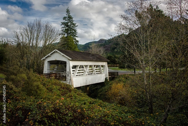 Fototapeta White covered bridge with trees, green foliage and beautiful sky.