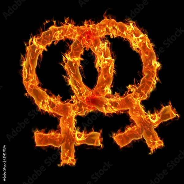 Obraz Burning lesbian symbol