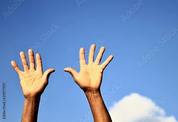 Obraz hands up in the sky