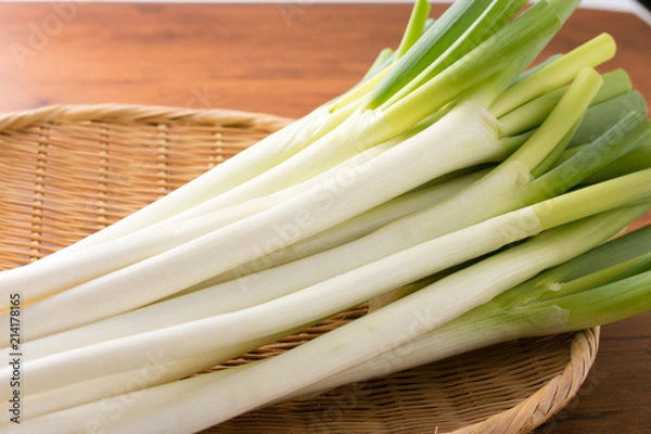 Obraz 長ネギ