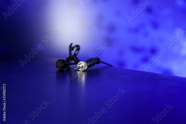 Obraz Lapel Microphone with Connector