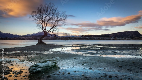 Obraz The lonely wanaka tree