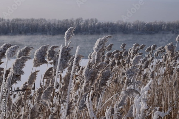 Obraz Зимний пейзаж