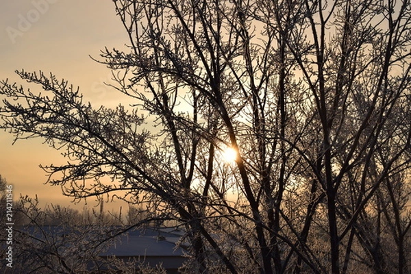 Obraz Зимнее утро