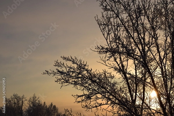 Obraz Зимнее утро