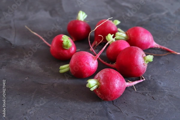 Fototapeta Red radishes on dark grey surface