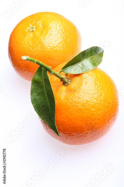 Fototapeta tangerine