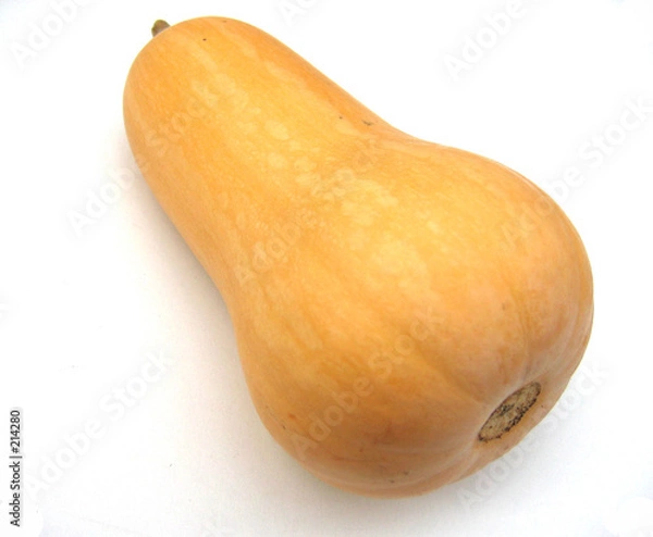 Fototapeta butternut