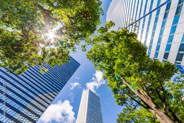 Fototapeta 新緑と高層ビル群