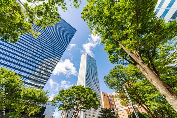 Fototapeta 新緑と高層ビル群