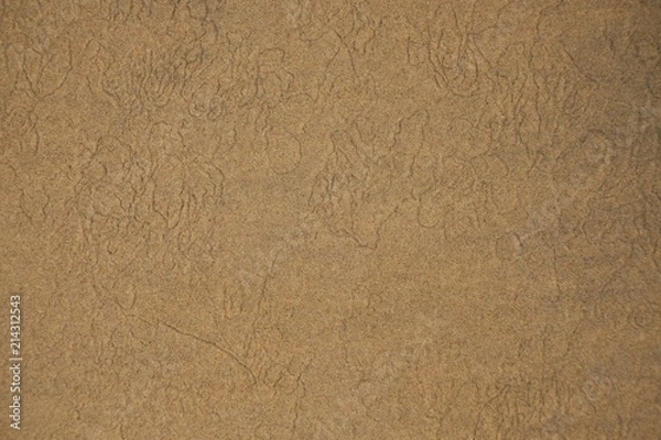 Obraz Organic lines pattern on sand
