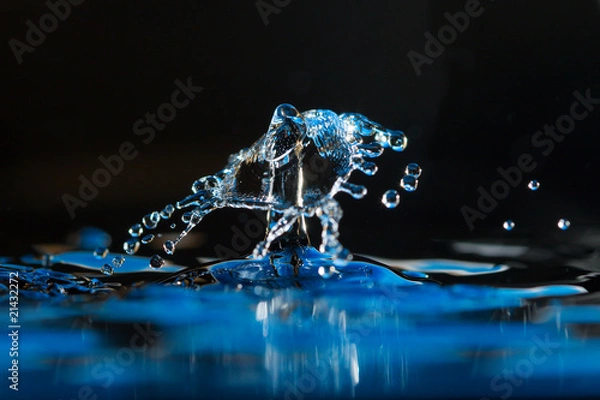 Obraz Water Drop Creations