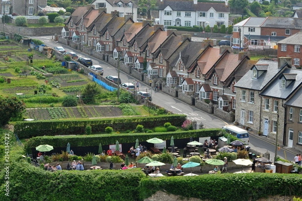 Fototapeta View of street and beer garden in Beer, Devon
