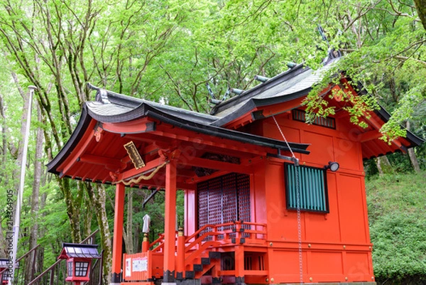 Obraz 九頭龍神社