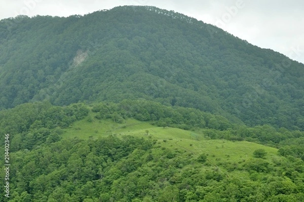 Fototapeta 大蔵高丸の草原