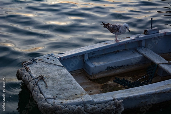 Obraz Bird on Boat