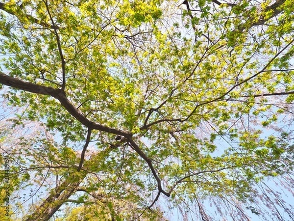 Obraz OLYMPUS DIGITAL CAMERA