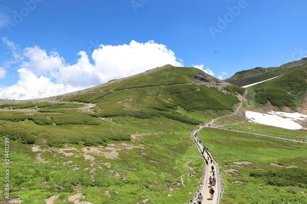 Obraz 乗鞍岳　畳平の夏景色