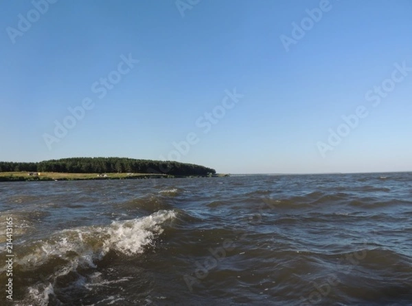 Obraz лес возле озера