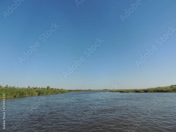 Obraz лес возле озера