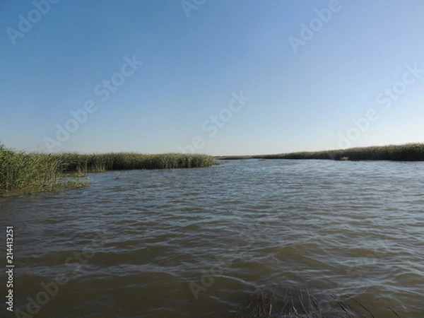 Obraz лес возле озера