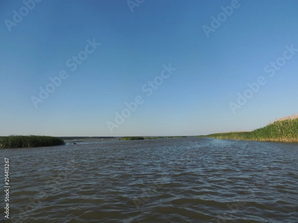 Obraz лес возле озера