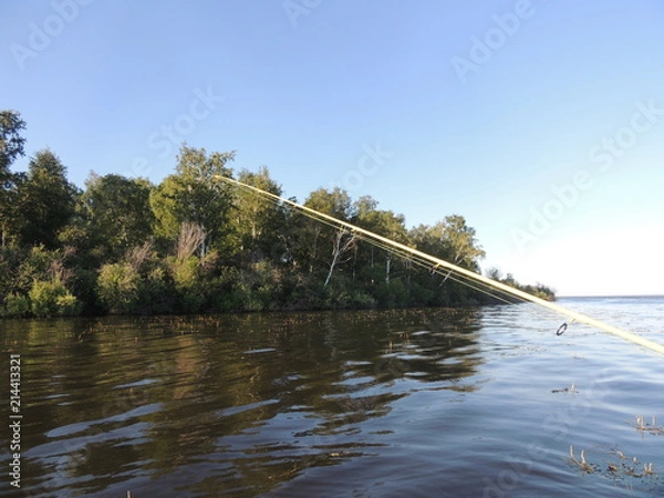 Obraz лес возле озера