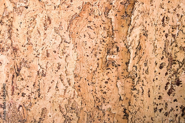 Fototapeta texture of the cork material