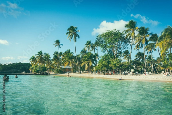 Obraz Strand auf Guadeloupe