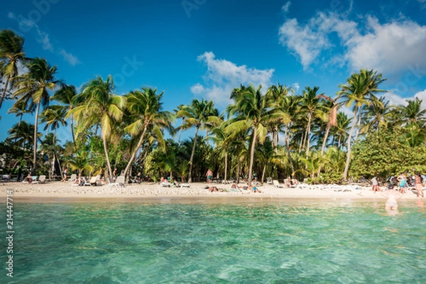 Obraz Strand auf Guadeloupe