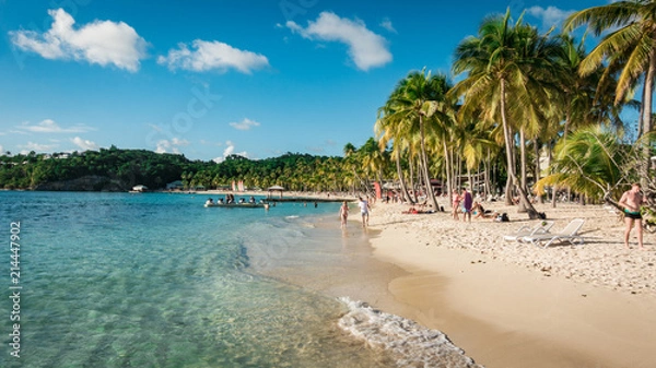 Obraz Strand auf Guadeloupe