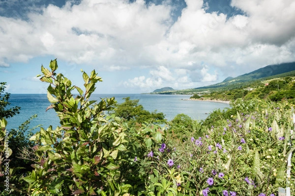 Obraz Aussicht St. Kitts