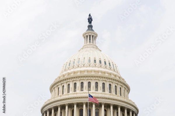 Fototapeta American flag on the background of the Capitol