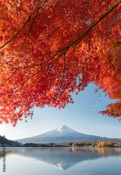 Obraz Colorful Autumn Season and Mountain Fuji with morning fog and red leaves at lake Kawaguchiko is one of the best places in Japan