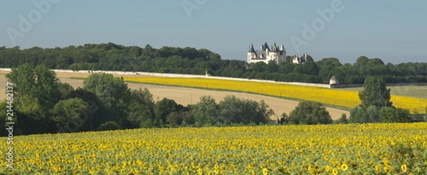 Obraz Zamek nad Loarą