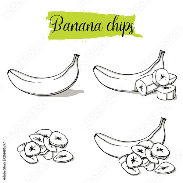 Fototapeta Hand drawn sketch style Banana set. Single, group fruits, banana chips, slices. Organic food, vector doodle illustrations collection isolated on white background.