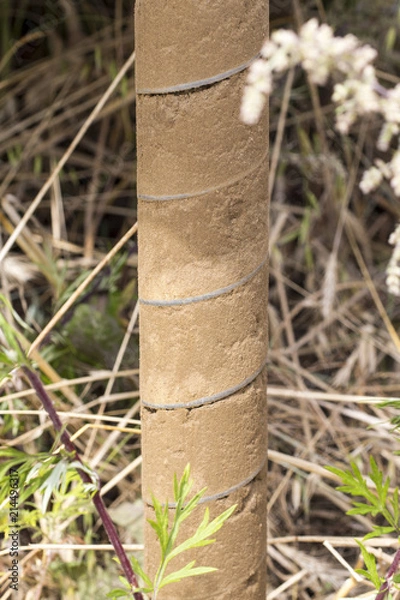 Obraz Geotechnical investigation - intact & perfect sample of soil on the drill (clayey sand)