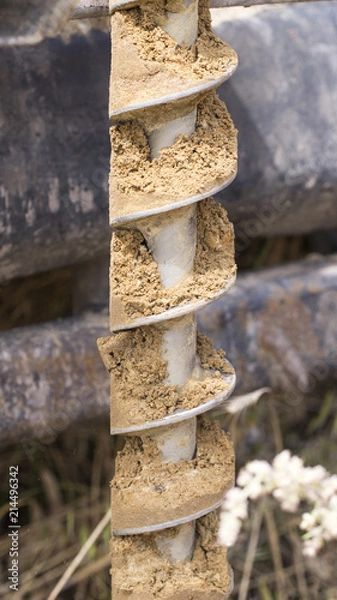 Obraz Geotechnical investigation - structure of the soil sample, granularity of the clayey sand